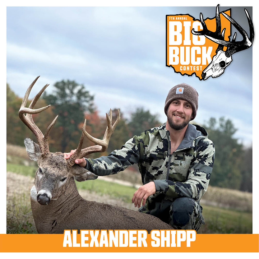 Alexander Shipp